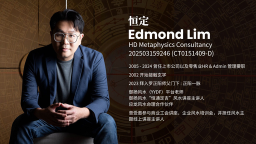 HD Metaphysics Consultancy logo